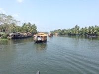 Floating on the Backwaters